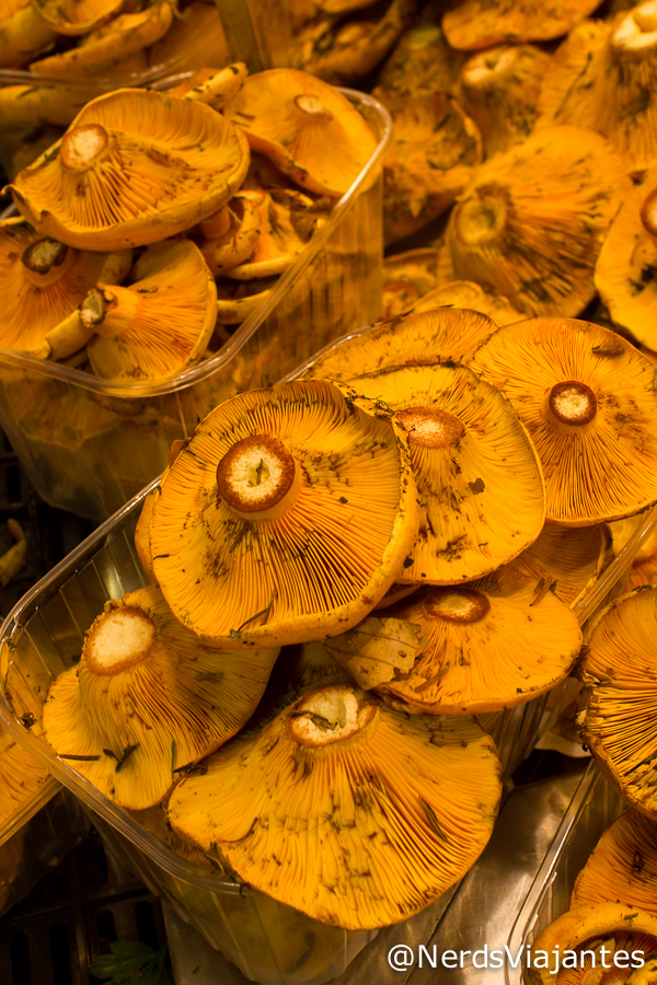 Cogumelos no Mercat de la Boqueria em Barcelona