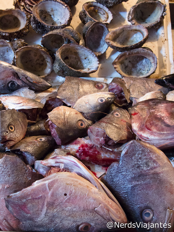 Restos de cabeças de peixes e frutos do mar - Mercado de Santiago - Chile
