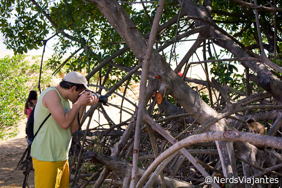 Nerd fotografando o macaco-prego em Vassouras