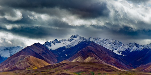 Polychrome Pass - Denali National Park