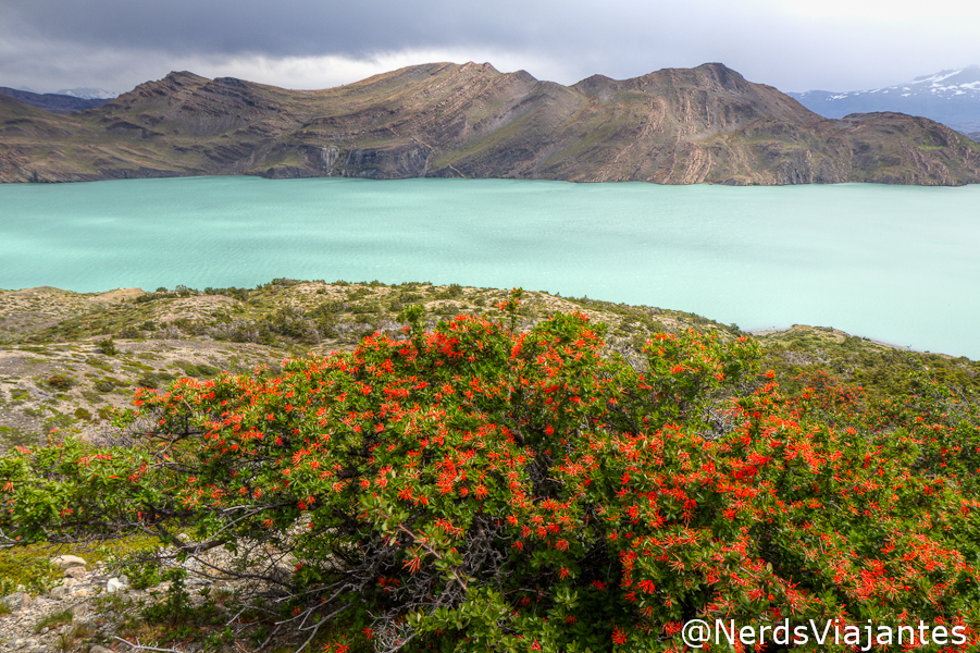 Lago Nordenskjold no parque Torres del Paine - Patagônia Chilena
