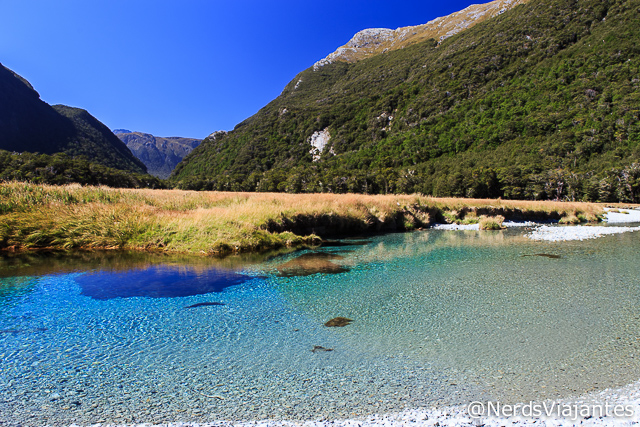 Lindo cenário com Routeburn River no Mount Aspiring National Park - Nova Zelândia