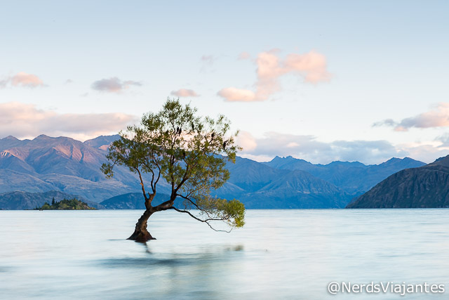 Wanaka Tree em diferentes momentos no amanhecer - Nova Zelândia