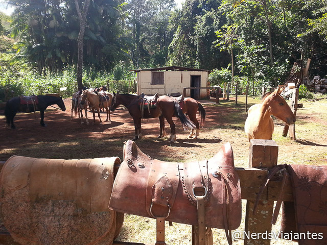 Cavalos para passeio - Tauá Grande Hotel e Termas de Araxá - Minas Gerais