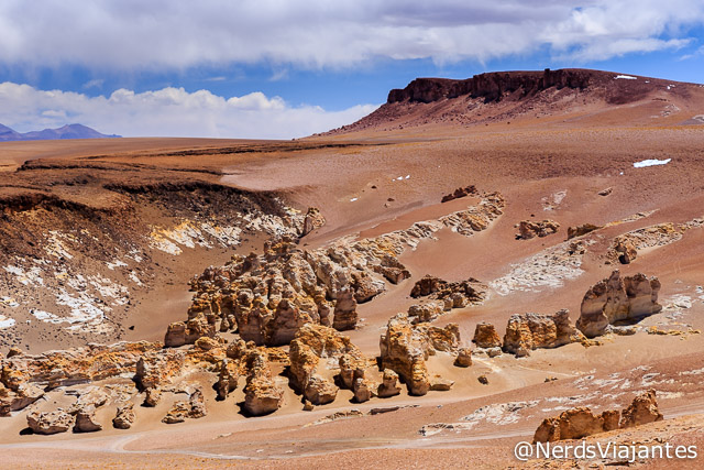 Monges blancos perto do Salar de Tara no Atacama - Chile