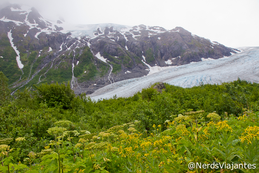 Trilha do Harding Icefield