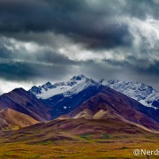 Polychrome Pass - Denali National Park