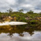 Trilha do Cerrado no Parque Estadual do Rio Preto - Minas Gerais